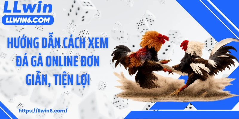 Hướng dẫn cách xem đá gà online đơn giản, tiện lợi