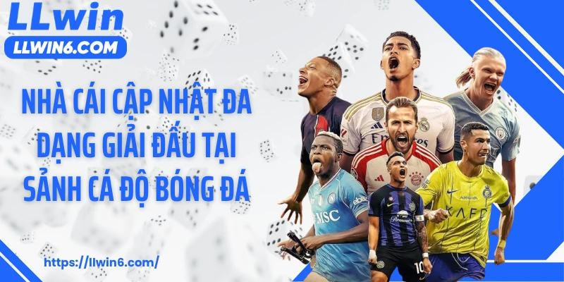 Nhà cái cập nhật đa dạng giải đấu tại sảnh cá độ bóng đá